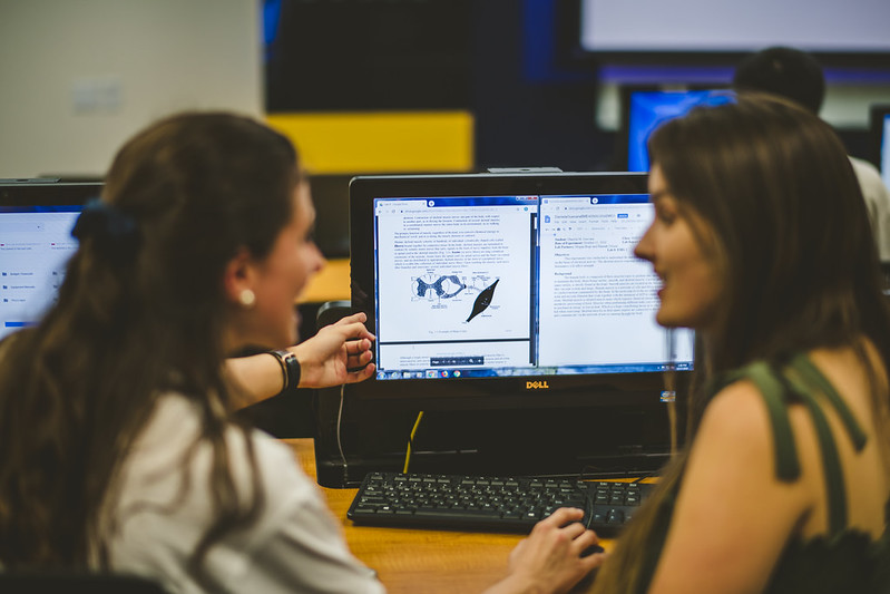 A student tutor helps another student by pointing at the computer and explaining the material.