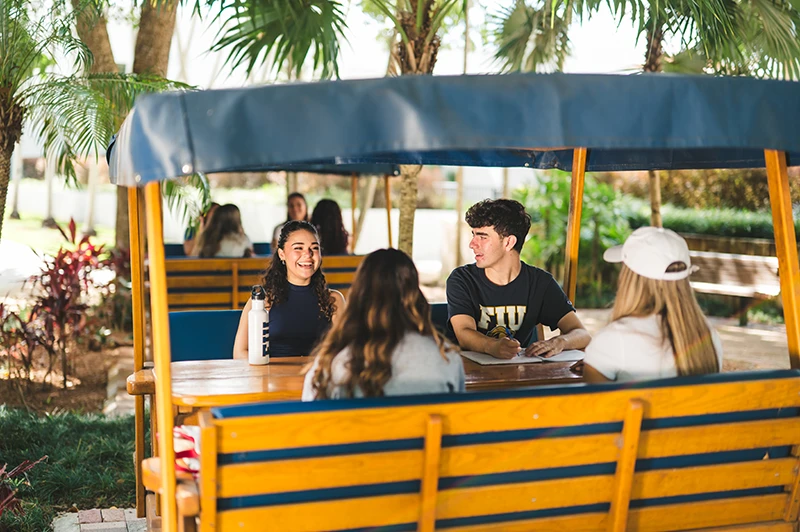 Students sit on the swinging benches under the palm trees at FIU
