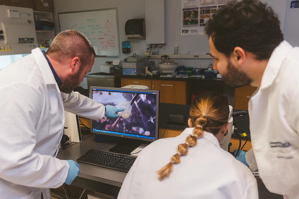 Dr. Josh Hutcheson, Sophie Ashbrook, and Daniel Chaparro analyze cardiovascular tissues under a microscope.