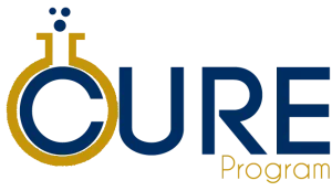The CURE Program