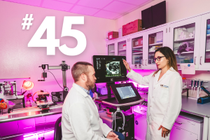 #45 Biomedical Engineering