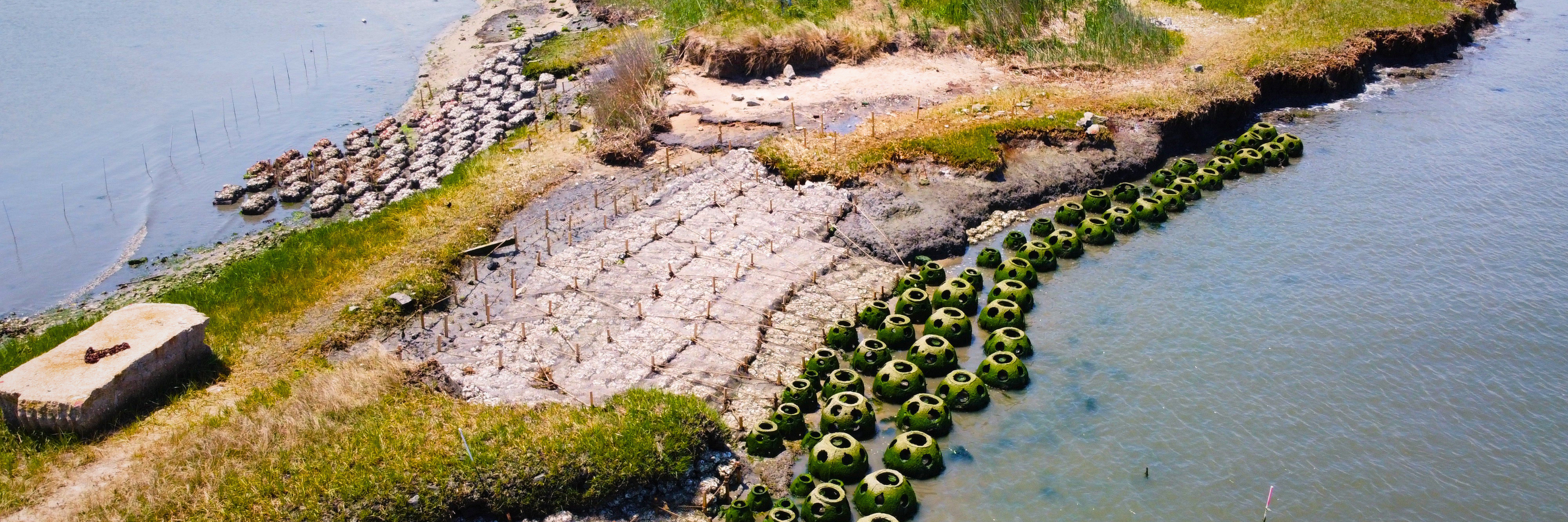 hybrid living shoreline - recently completed in DE