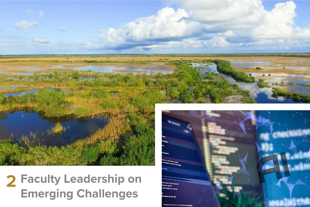 2. Faculty Leadership on Emerging Challenges