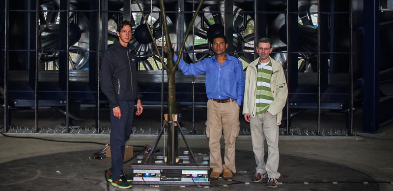 Testing the world’s first vertical forest