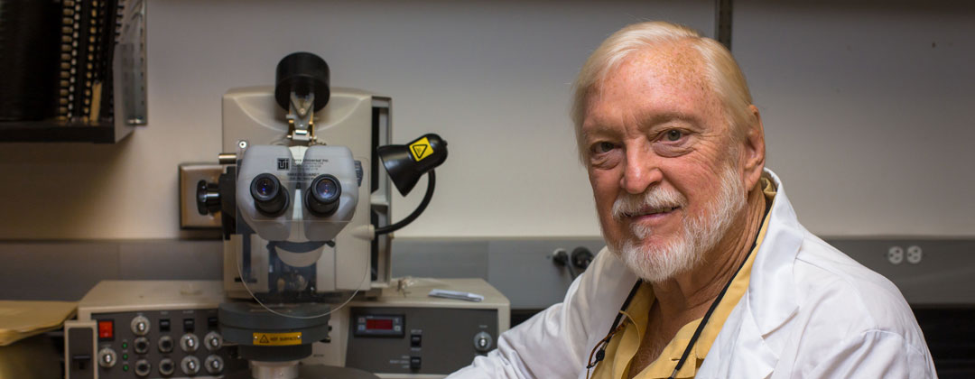FIU Engineering Professor advances retinal implant that could restore sight for the blind