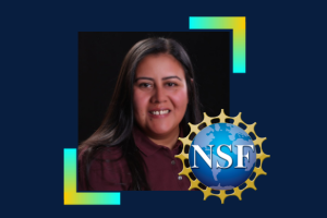 FIU Professor and Renowned Wind Researcher, Amal Elawady, receives NSF CAREER Award